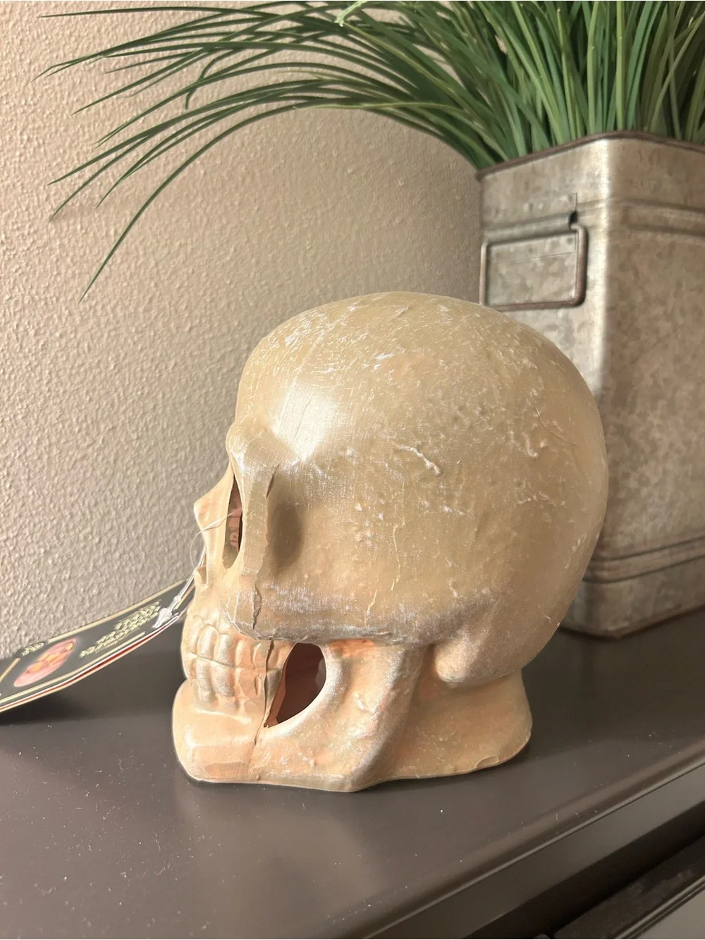 Target Bullseye Halloween Terracotta Light Up Skull